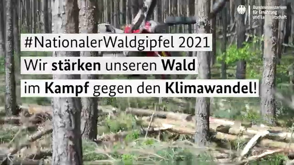 Link zum Video: Nationaler Waldgipfel 2021 in Sachsen-Anhalt